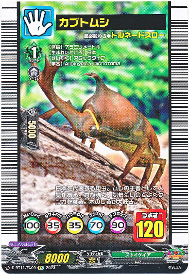 カブトムシ